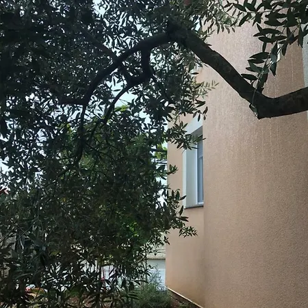 Olive-home With Pool
